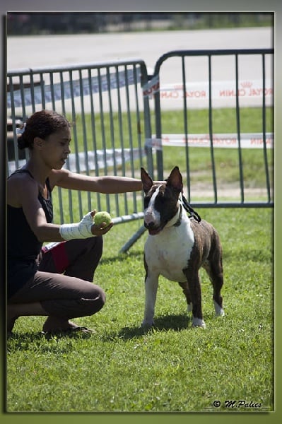 So Addictive Famous lipstick - 4e Bon classe jeune confirmation + Tan