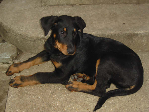 Publication : des dolines de l'oural