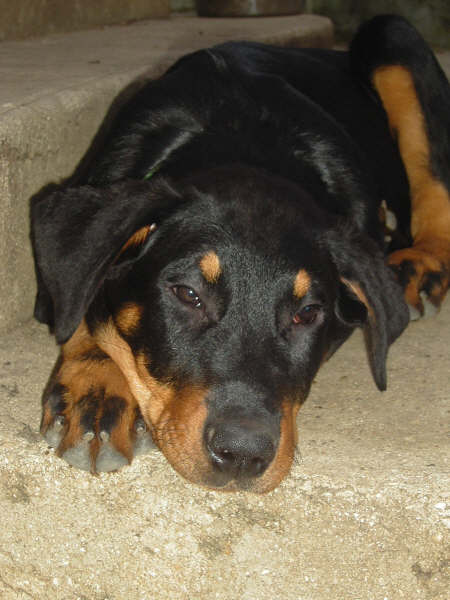 Publication : des dolines de l'oural