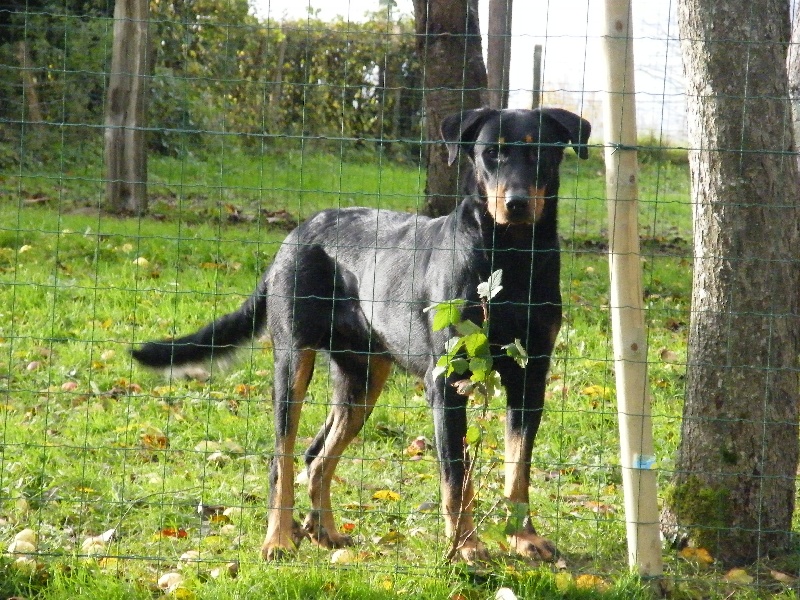 Publication : des dolines de l'oural