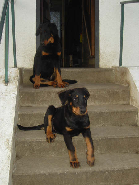 Publication : des dolines de l'oural