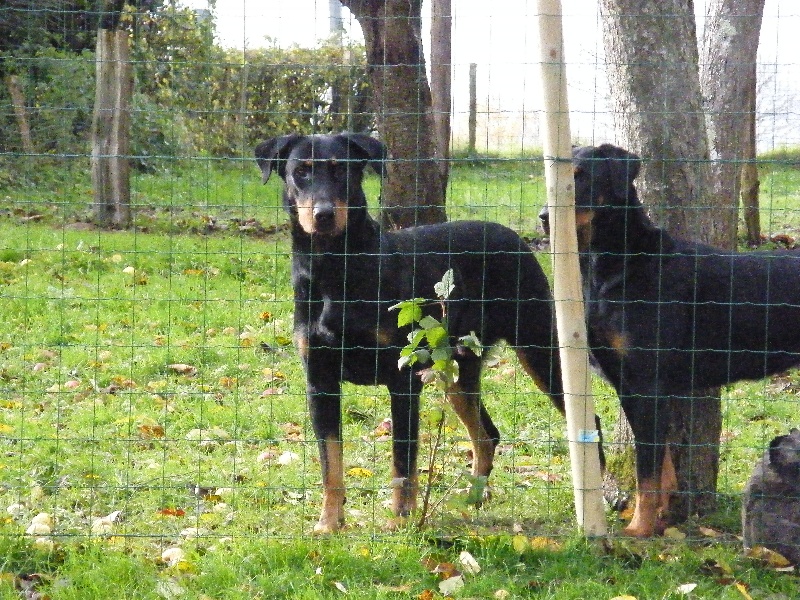 Publication : des dolines de l'oural