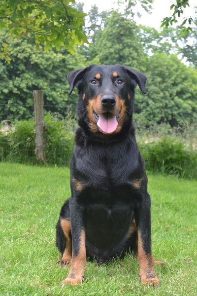 Publication : des dolines de l'oural