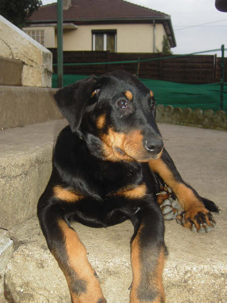 Publication : des dolines de l'oural