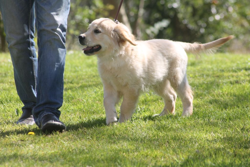 Publication : de la Ferme du Rotour
