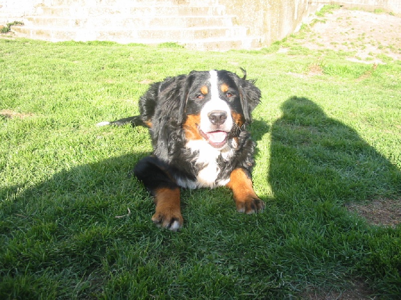 Publication : de la Ferme du Rotour Auteur : beatrice heurtin