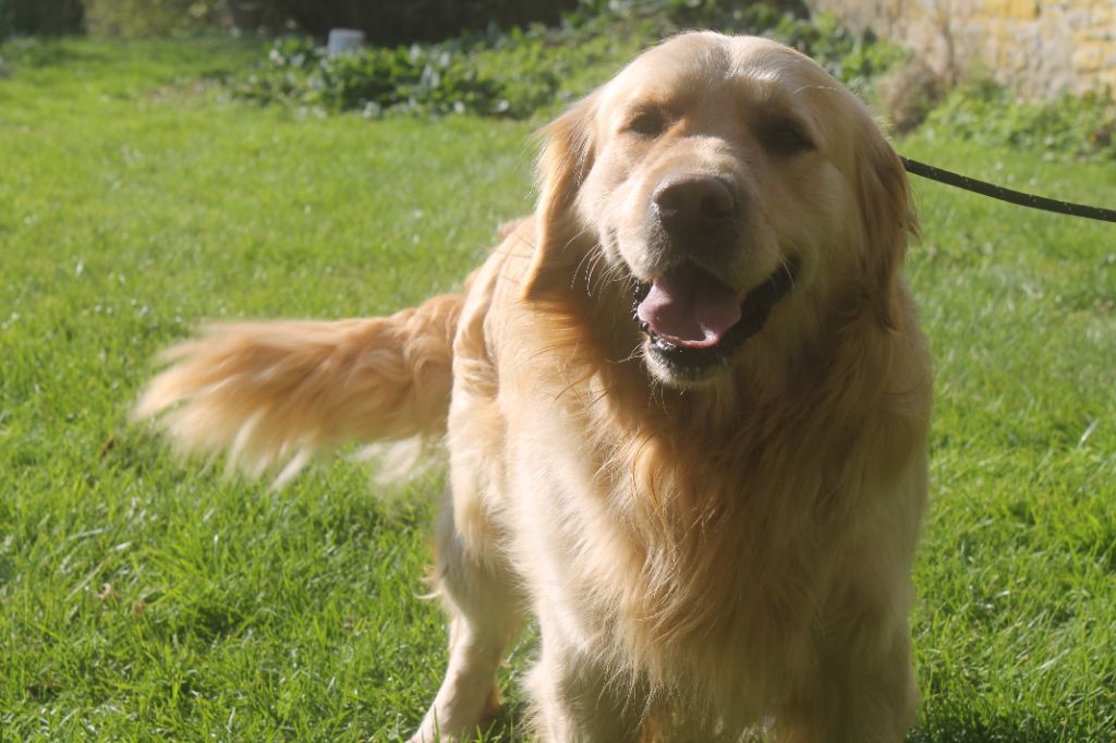 Publication : de la Ferme du Rotour