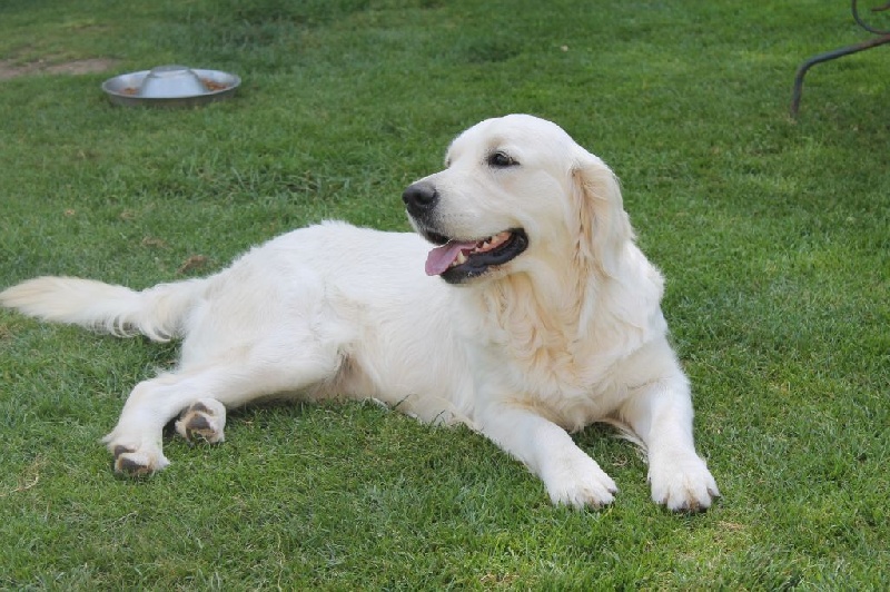 Publication : de la Ferme du Rotour Auteur : BEATRICE HEURTIN