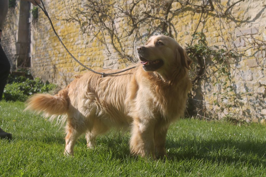 Publication : de la Ferme du Rotour