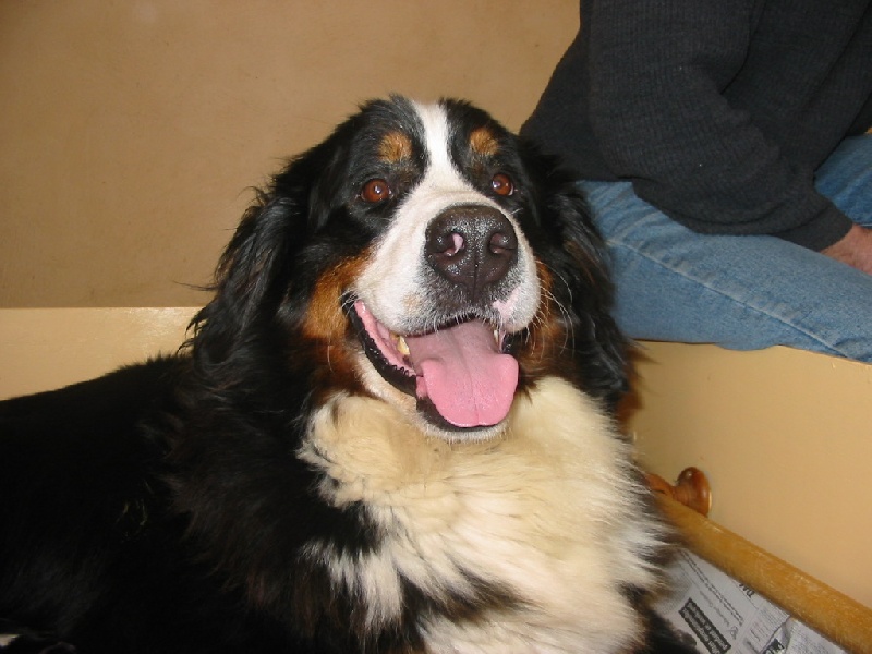 Publication : de la Ferme du Rotour