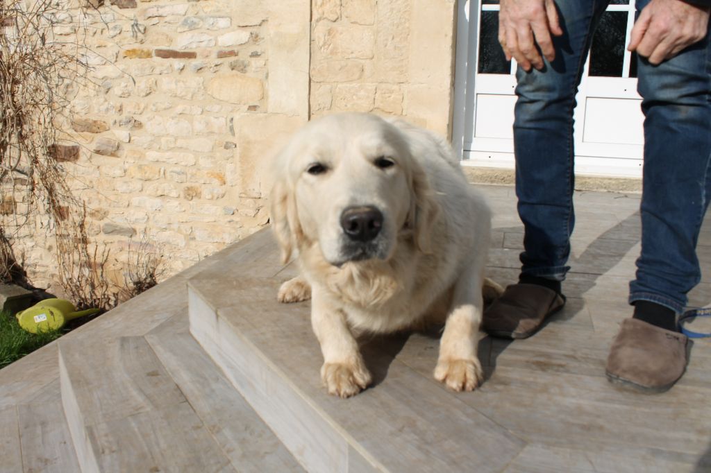 Publication : de la Ferme du Rotour Auteur : HEURTIN