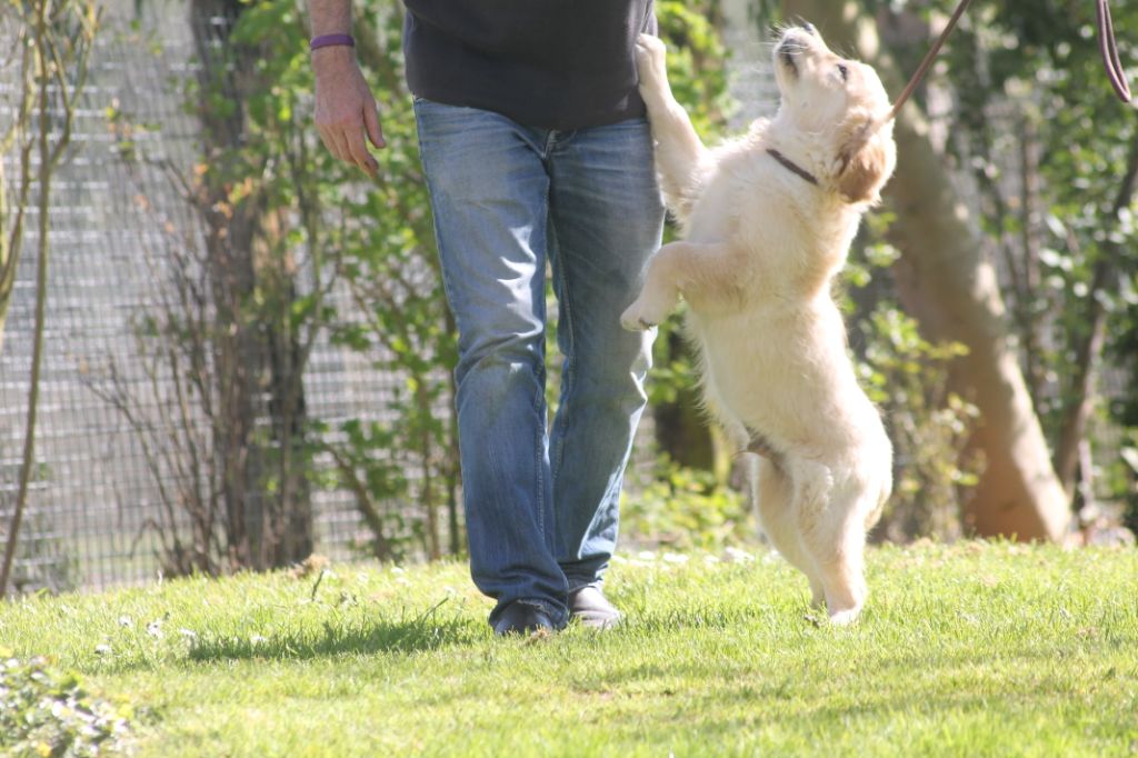 Publication : de la Ferme du Rotour