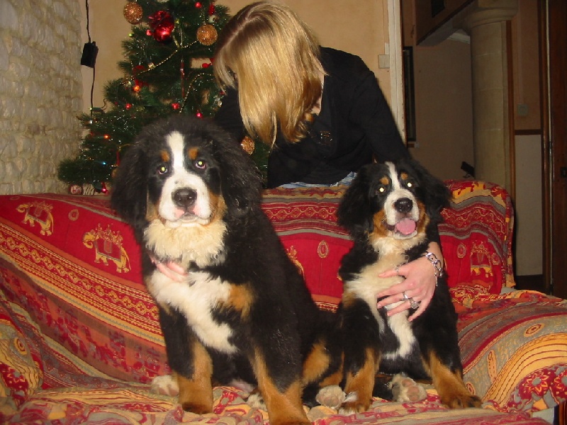 Publication : de la Ferme du Rotour Auteur : beatrice heurtin