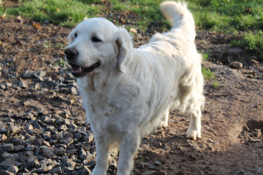 Publication : de la Ferme du Rotour Auteur : BEATRICE HEURTIN