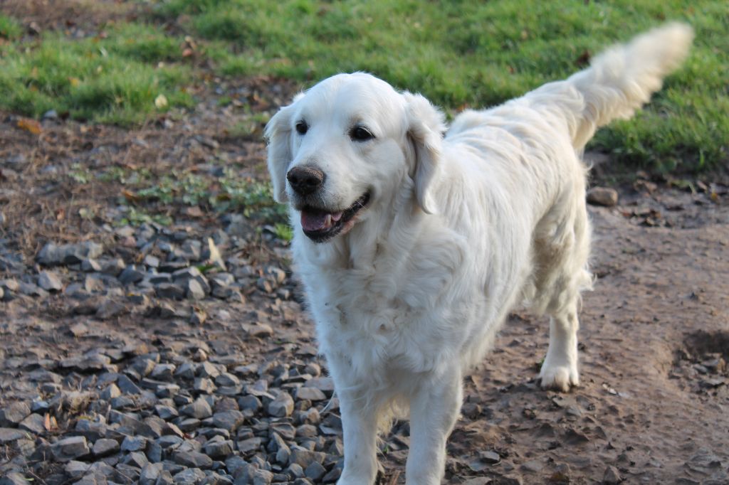 Publication : de la Ferme du Rotour Auteur : BEATRICE HEURTIN