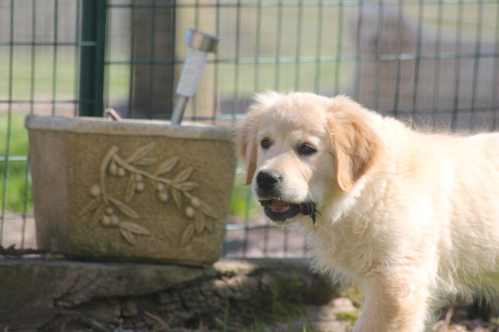 Publication : de la Ferme du Rotour