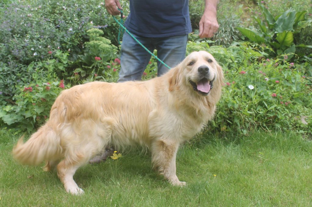 Publication : de la Ferme du Rotour