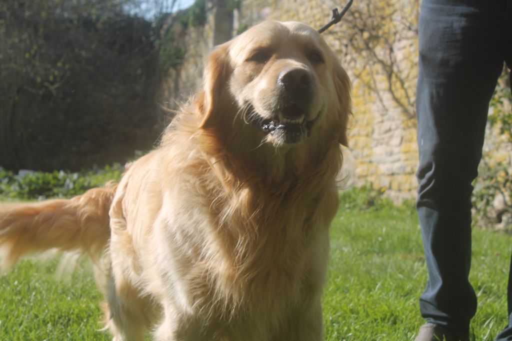 Publication : de la Ferme du Rotour