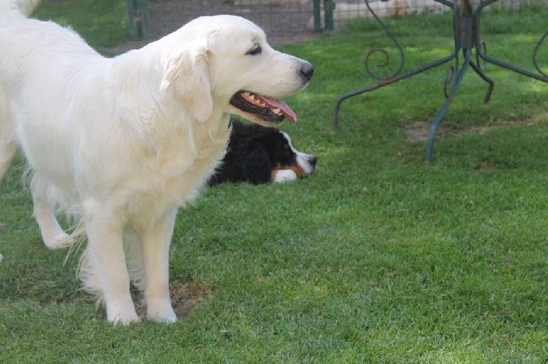 Publication : de la Ferme du Rotour Auteur : BEATRICE HEURTIN
