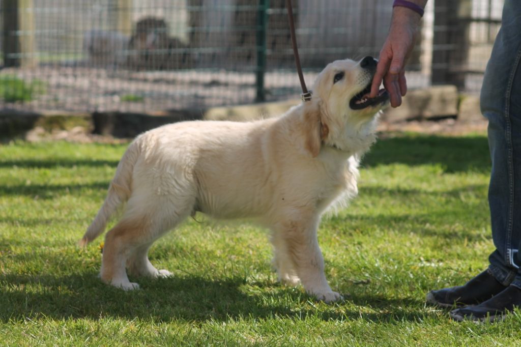 Publication : de la Ferme du Rotour