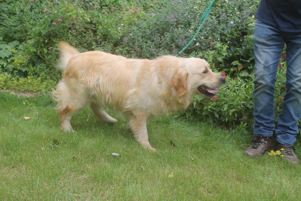 Publication : de la Ferme du Rotour