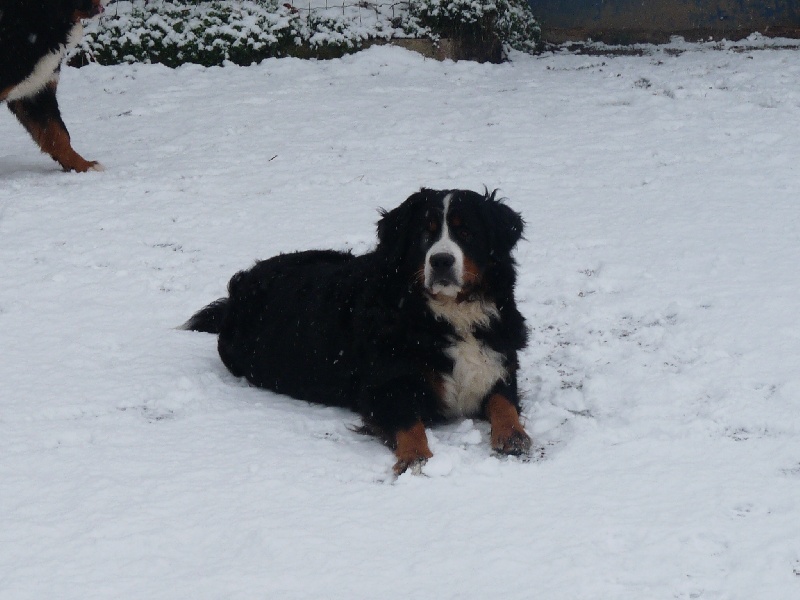 Publication : de la Ferme du Rotour Auteur : beatrice heurtin