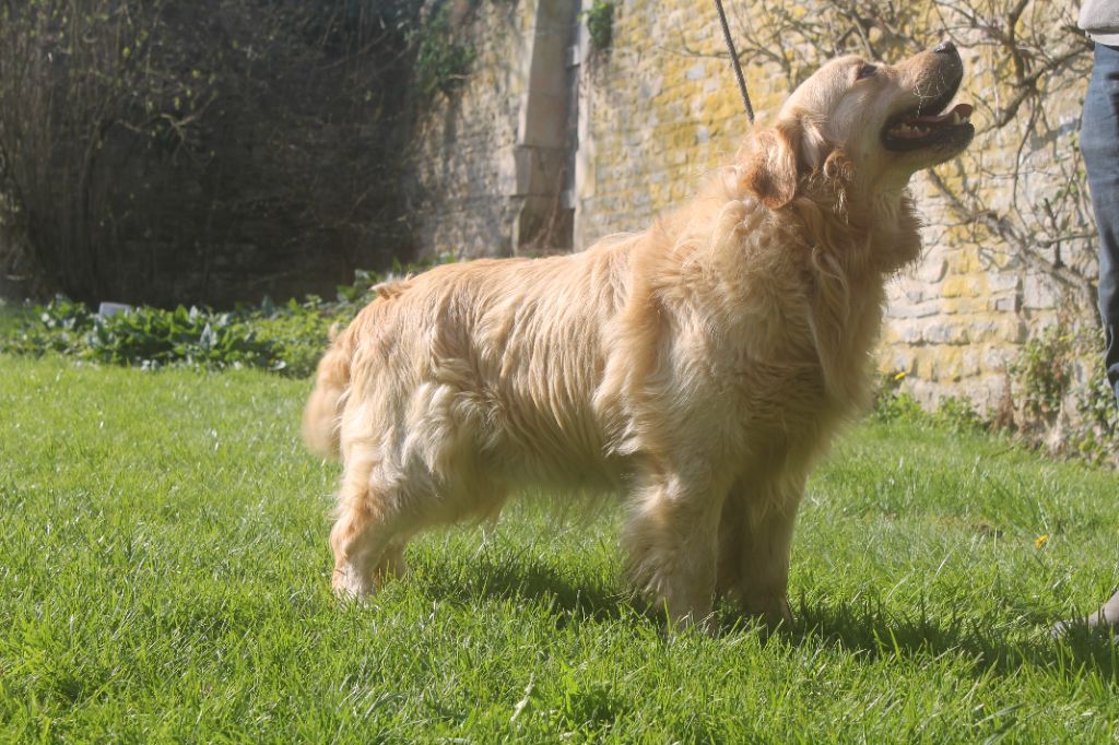 Publication : de la Ferme du Rotour