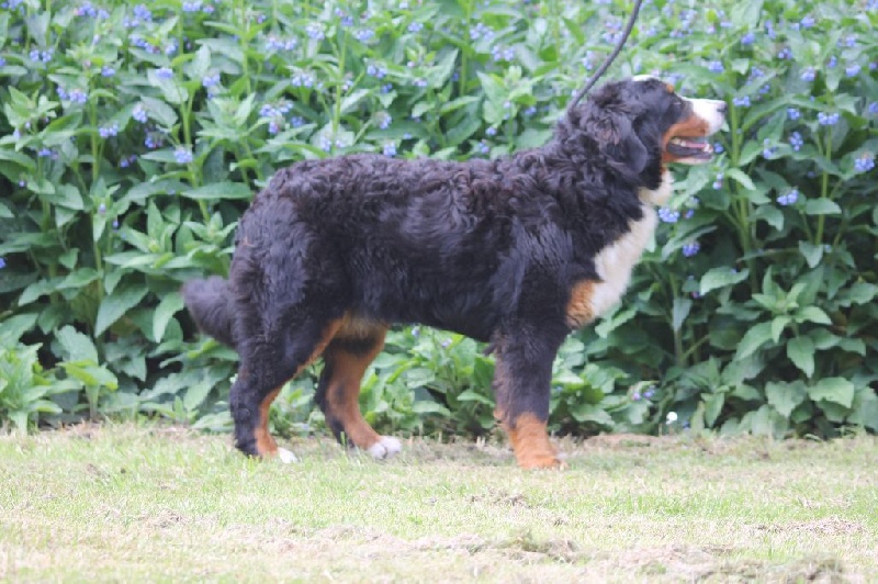 Publication : de la Ferme du Rotour Auteur : B HEURTIN