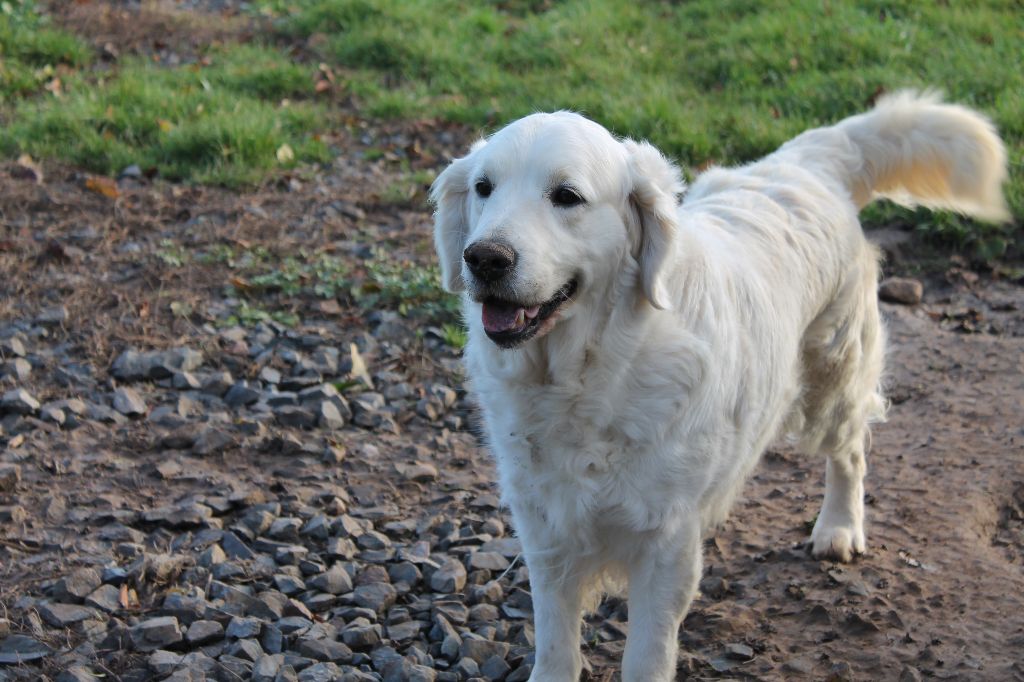 Publication : de la Ferme du Rotour Auteur : BEATRICE HEURTIN