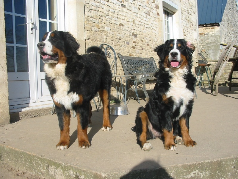 Publication : de la Ferme du Rotour Auteur : beatrice heurtin