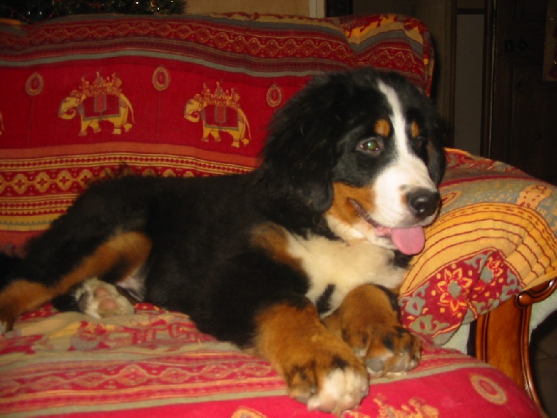 Publication : de la Ferme du Rotour Auteur : beatrice heurtin