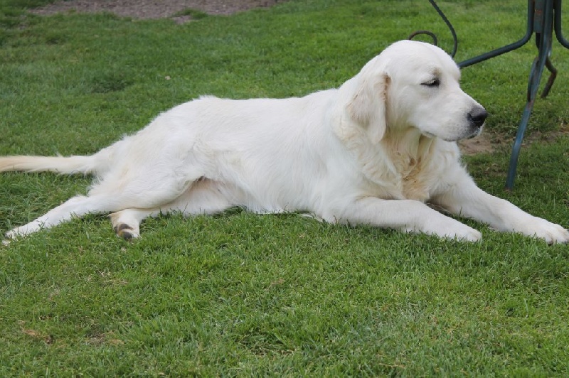 Publication : de la Ferme du Rotour Auteur : BEATRICE HEURTIN