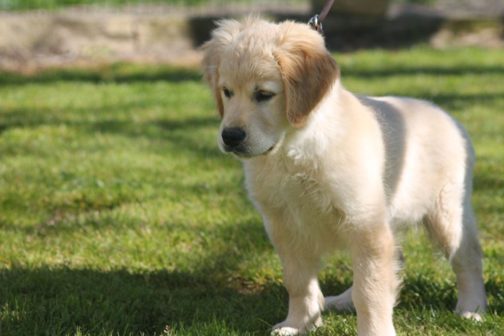 Publication : de la Ferme du Rotour