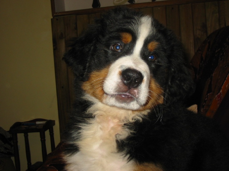 Publication : de la Ferme du Rotour Auteur : beatrice heurtin