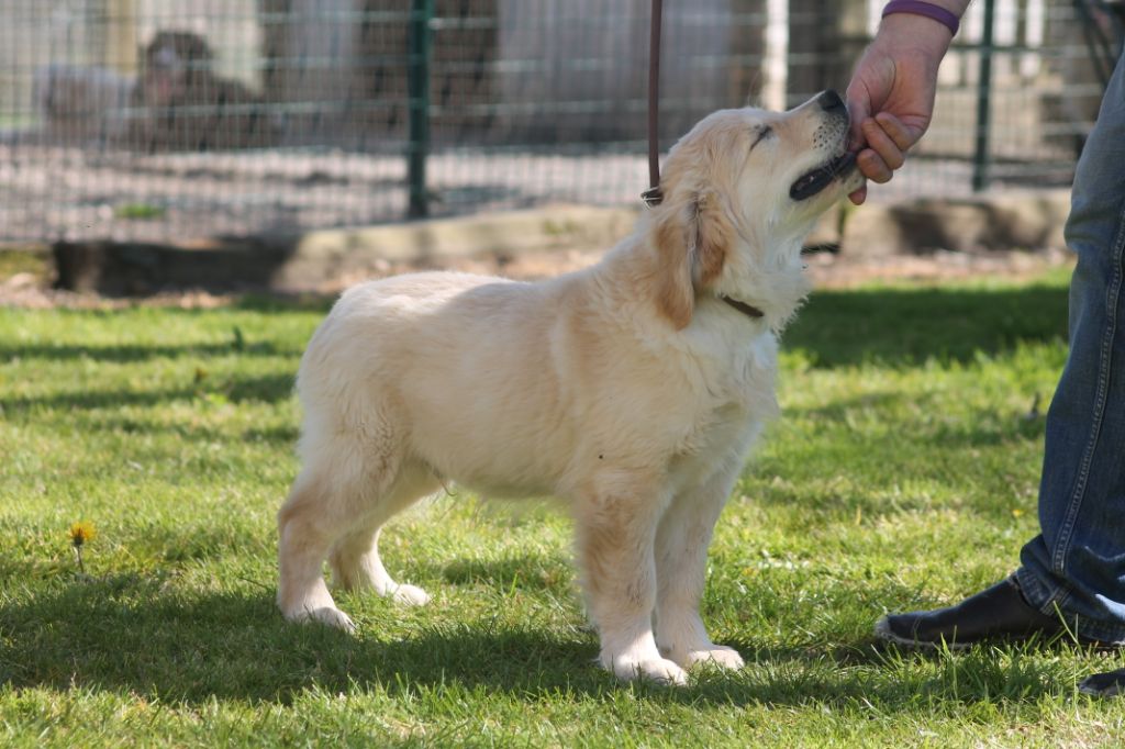 Publication : de la Ferme du Rotour