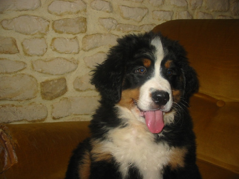 Publication : de la Ferme du Rotour Auteur : beatrice heurtin