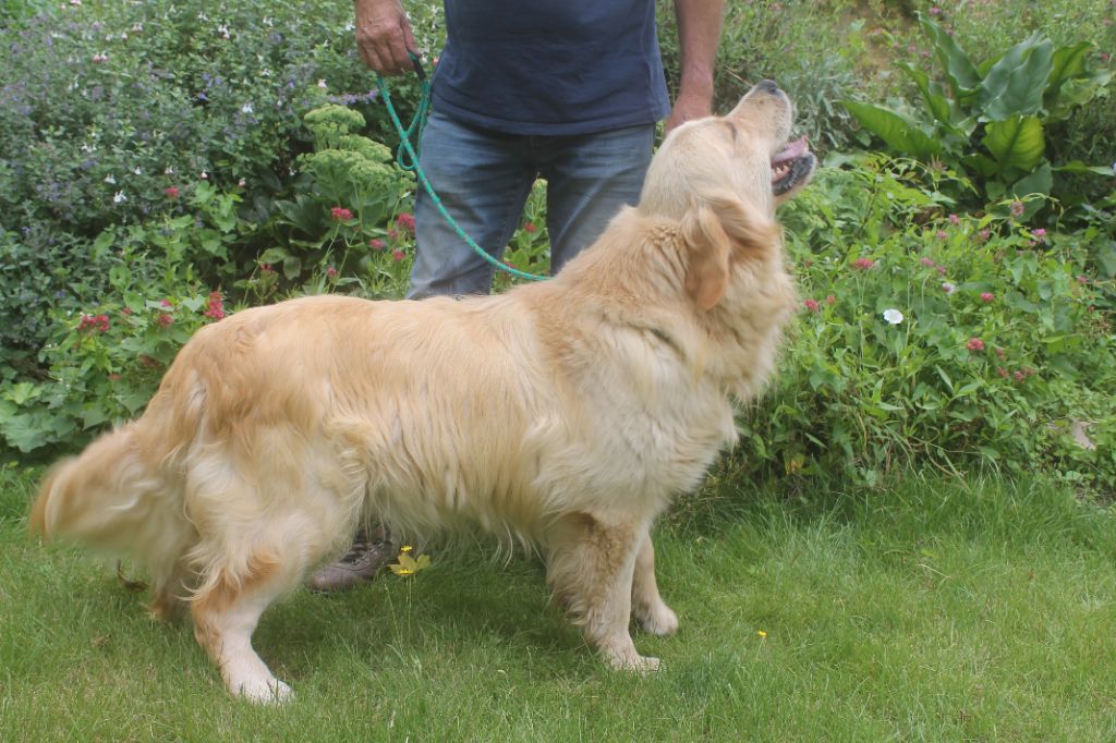 Publication : de la Ferme du Rotour