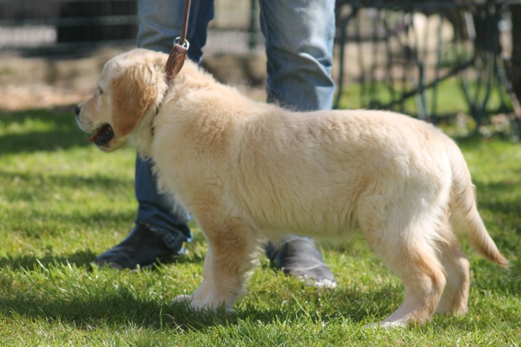 Publication : de la Ferme du Rotour