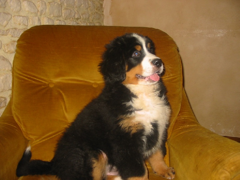 Publication : de la Ferme du Rotour Auteur : beatrice heurtin