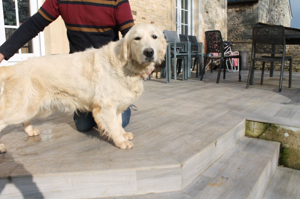 Publication : de la Ferme du Rotour Auteur : HEURTIN