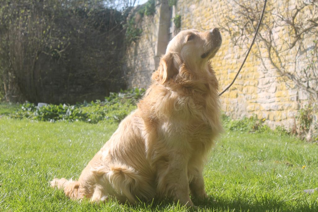 Publication : de la Ferme du Rotour