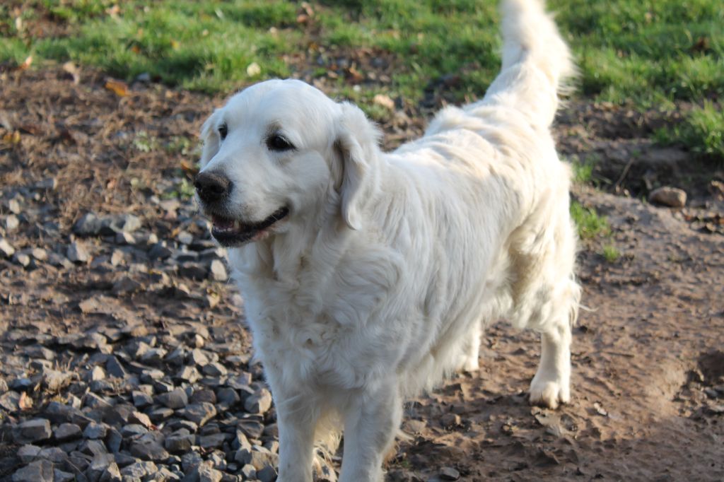Publication : de la Ferme du Rotour Auteur : BEATRICE HEURTIN