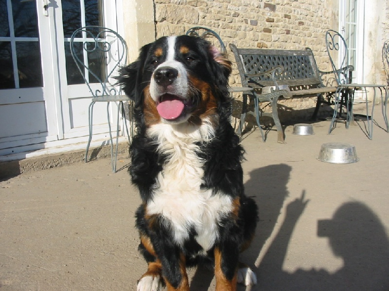 Publication : de la Ferme du Rotour Auteur : beatrice heurtin