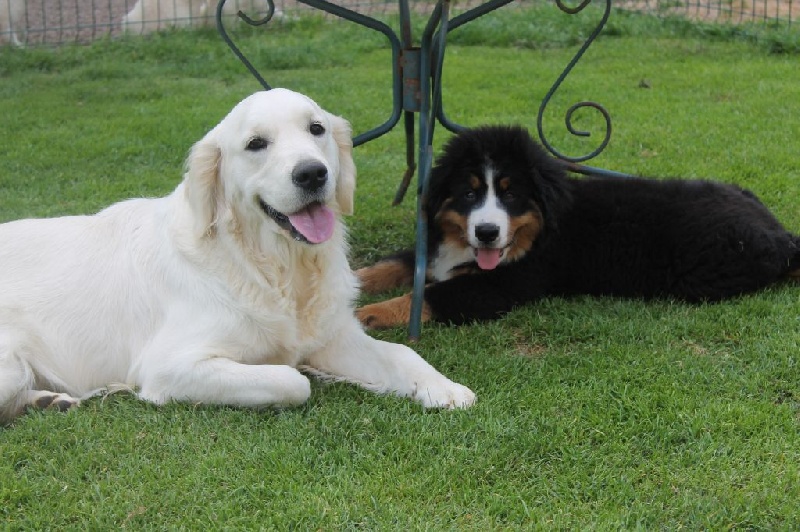 Publication : de la Ferme du Rotour Auteur : BEATRICE HEURTIN