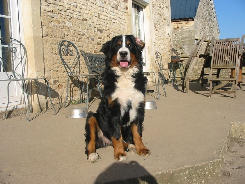 Publication : de la Ferme du Rotour Auteur : beatrice heurtin