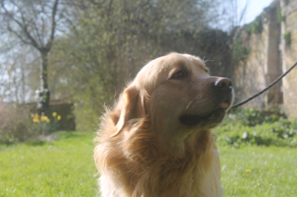 Publication : de la Ferme du Rotour