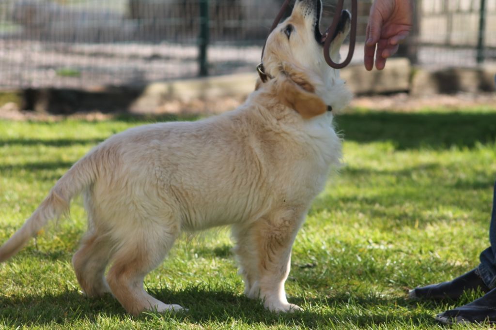 Publication : de la Ferme du Rotour