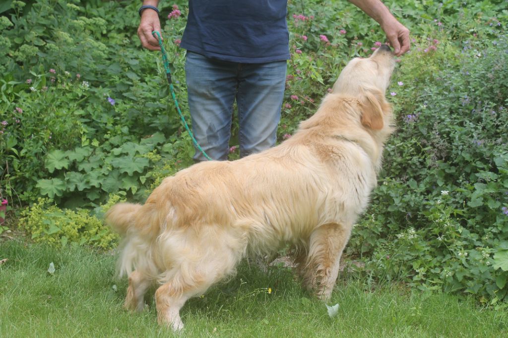 Publication : de la Ferme du Rotour