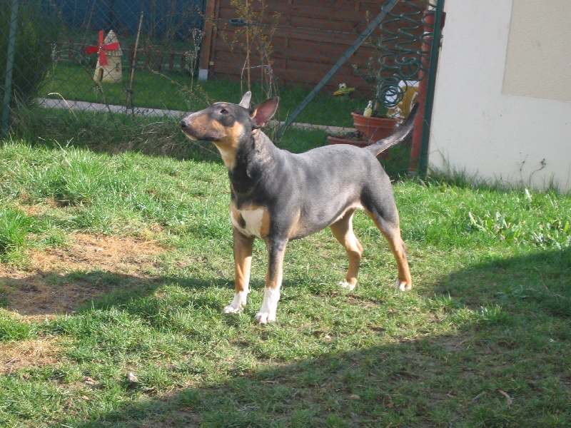 Publication : d'Emiloliv Auteur : V. blondel