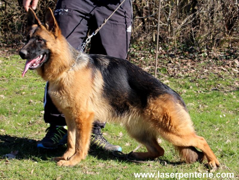 Publication : Des terres de la serpenterie